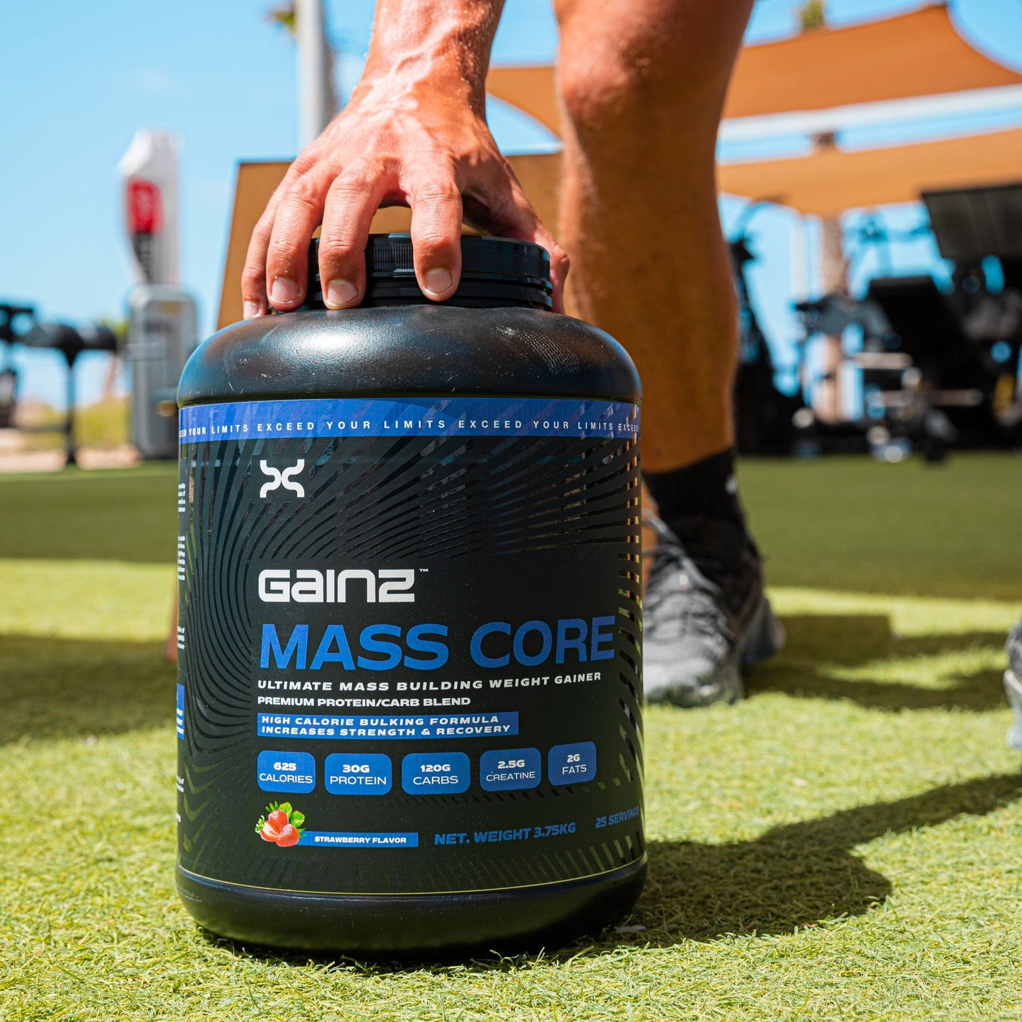 Mass Core - 3.75 Kilos - 25 servings