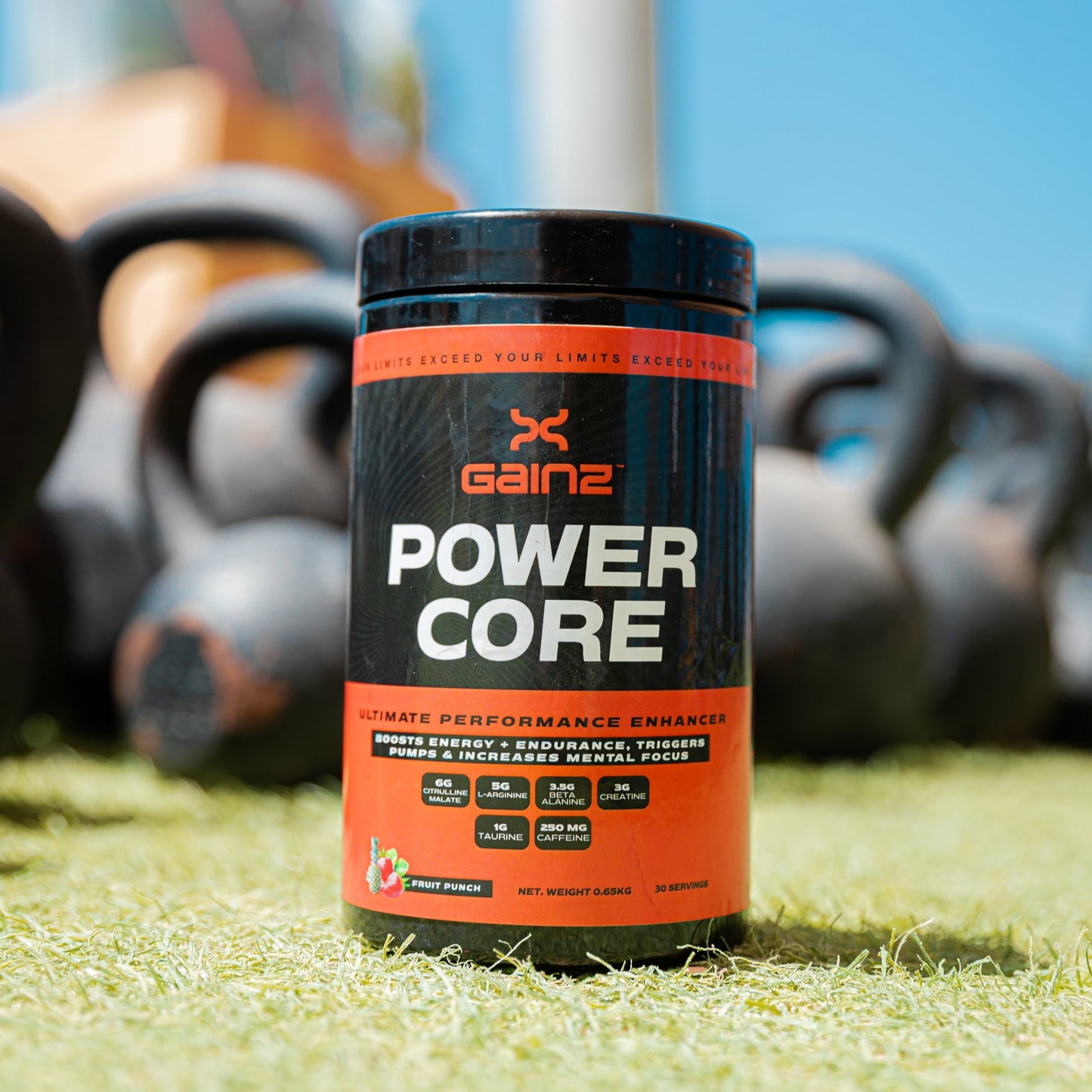 Power Core - 370 gms - 30 servings